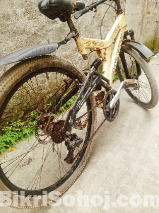 বাইসাইকেলে